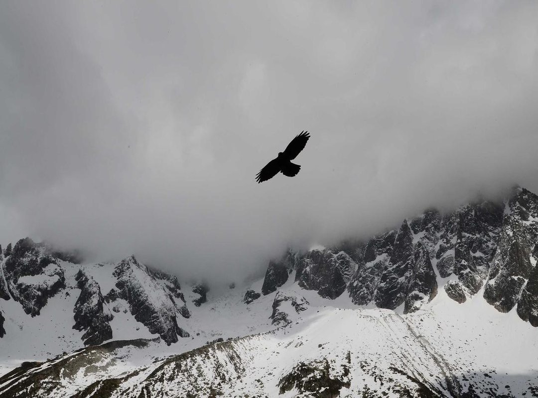 A Career Cut Short: The Tragic Accident