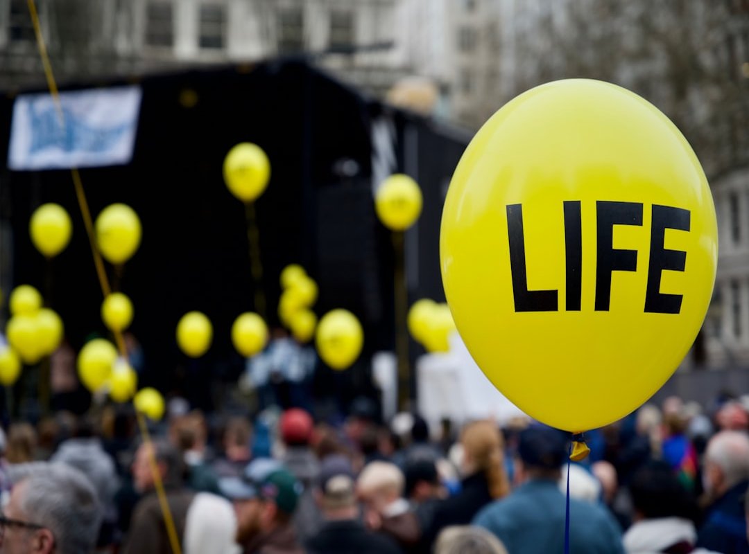 car development process